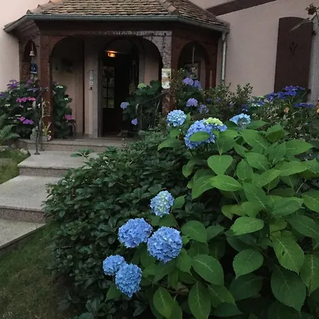 Bed & Breakfast La Romance Dieffenbach-au-Val